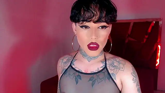 little star porn online show from October 2025 04:11:01 AM