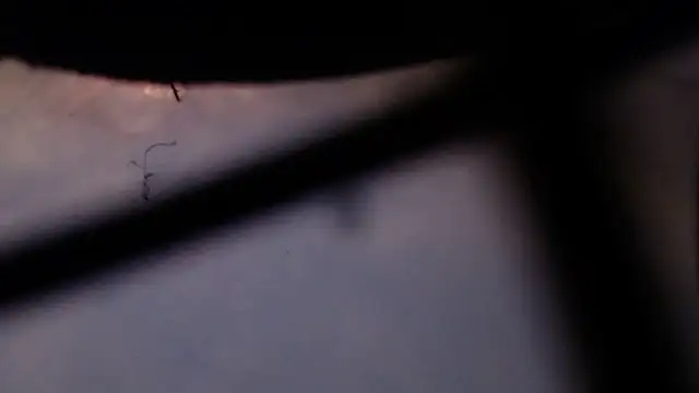 Cordt27 online show from February 2026 04:07:01 PM