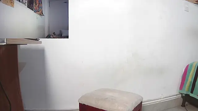 SAT--SU U online show from February 2026 11:39:02 AM