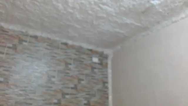 Snapshot of omar_alurba chatting on December 2025 05:12:02 PM omar alurba online show from December 2025 05:12:02 PM