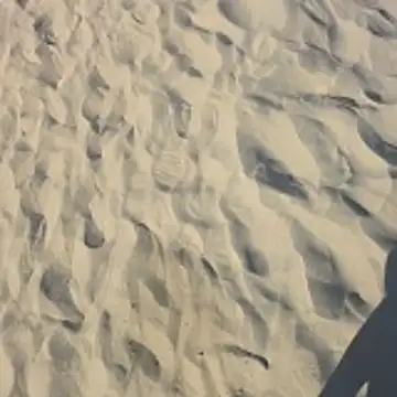 Trucker Hunter online show from October 2025 03:45:02 PM