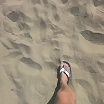 Trucker Hunter online show from February 2026 11:41:01 AM