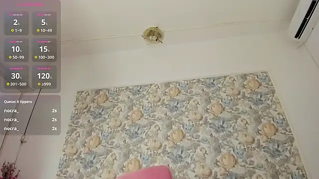 Snapshot of illegal_lorry chatting on January 2026 06:09:01 AM illegal lorry online show from January 2026 06:09:01 AM