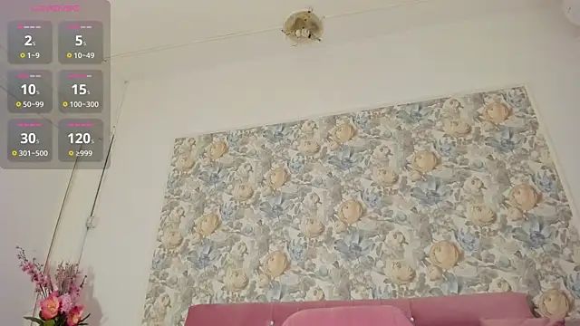 Snapshot of illegal_lorry chatting on February 2026 06:19:02 AM illegal lorry online show from February 2026 06:19:02 AM