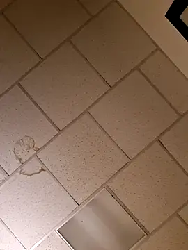 curiouscock38 online show from November 2025 11:55:01 AM