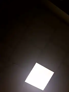 curiouscock38 online show from May 2026 06:52:01 AM
