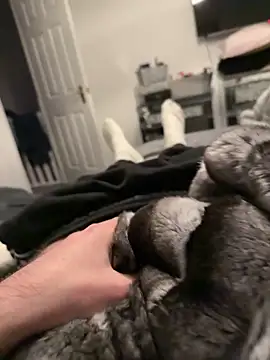 Snapshot of Furdale chatting on December 2025 04:12:02 PM Furdale online show from December 2025 04:12:02 PM