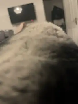 Snapshot of Furdale chatting on January 2025 04:08:02 PM Furdale online show from January 2025 04:08:02 PM