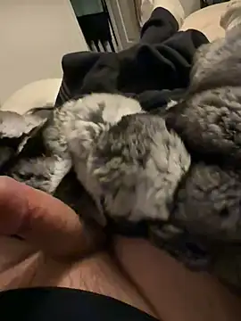 Snapshot of Furdale chatting on February 2026 06:35:01 PM Furdale online show from February 2026 06:35:01 PM