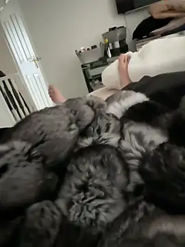 Furdale online show from March 2026 12:45:02 PM