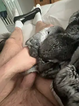 Furdale online show from April 2026 10:10:02 AM