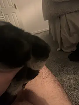 Snapshot of Furdale chatting on January 2025 05:06:01 PM Furdale online show from January 2025 05:06:01 PM