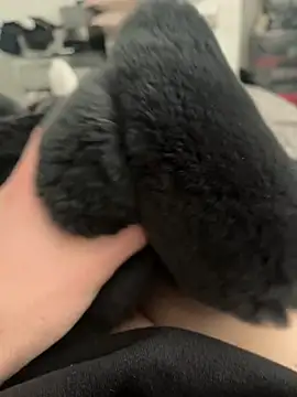 Snapshot of Furdale chatting on February 2025 11:36:02 AM Furdale online show from February 2025 11:36:02 AM