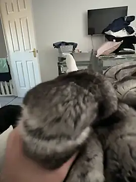 Furdale online show from November 2025 11:22:02 AM