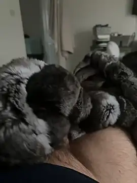 Snapshot of Furdale chatting on February 2026 04:52:01 PM Furdale online show from February 2026 04:52:01 PM