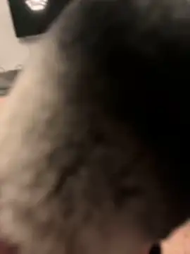 Snapshot of Furdale chatting on January 2025 07:08:01 PM Furdale online show from January 2025 07:08:01 PM