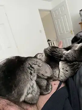 Furdale online show from April 2026 11:35:02 AM