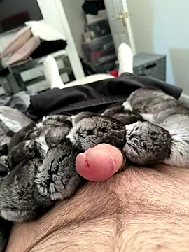 Snapshot of Furdale chatting on September 2025 04:57:02 PM Furdale online show from September 2025 04:57:02 PM