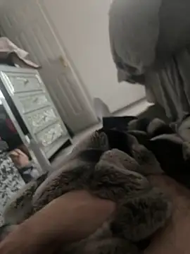 Snapshot of Furdale chatting on January 2025 02:08:01 PM Furdale online show from January 2025 02:08:01 PM