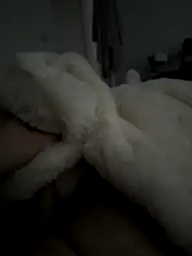 Furdale online show from November 2025 02:53:02 PM