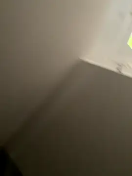 Snapshot of Furdale chatting on September 2025 04:28:02 PM Furdale online show from September 2025 04:28:02 PM