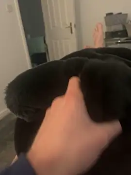 Snapshot of Furdale chatting on March 2025 03:29:01 PM Furdale online show from March 2025 03:29:01 PM