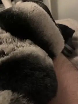 Snapshot of Furdale chatting on January 2025 05:02:01 PM Furdale online show from January 2025 05:02:01 PM