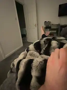 Snapshot of Furdale chatting on February 2025 07:20:02 PM Furdale online show from February 2025 07:20:02 PM