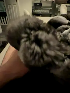 Furdale online show from November 2025 04:40:02 PM