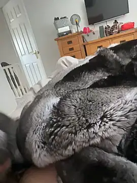 Furdale online show from April 2026 10:28:01 AM