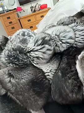 Furdale online show from April 2026 03:19:01 PM