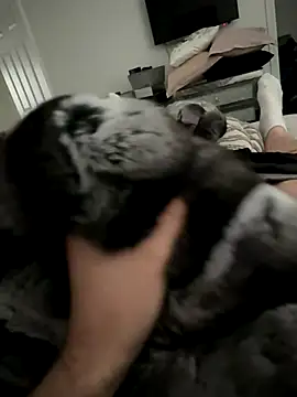 Snapshot of Furdale chatting on October 2025 03:01:01 PM Furdale online show from October 2025 03:01:01 PM