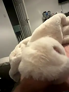 Furdale online show from November 2025 05:28:02 PM