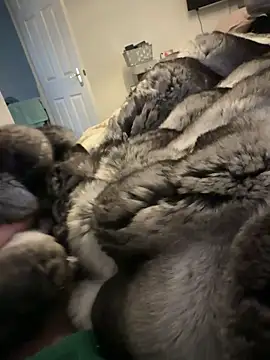 Snapshot of Furdale chatting on February 2026 01:32:01 PM Furdale online show from February 2026 01:32:01 PM