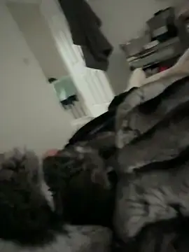 Furdale online show from March 2026 03:15:01 PM