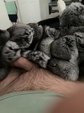 Snapshot of Furdale chatting on September 2025 04:13:01 PM Furdale online show from September 2025 04:13:01 PM