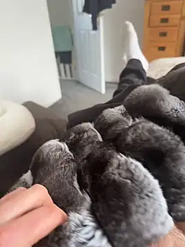 Furdale online show from April 2026 01:35:01 PM