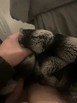 Snapshot of Furdale chatting on January 2025 05:20:01 PM Furdale online show from January 2025 05:20:01 PM