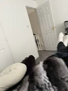 Furdale online show from March 2026 02:19:02 PM