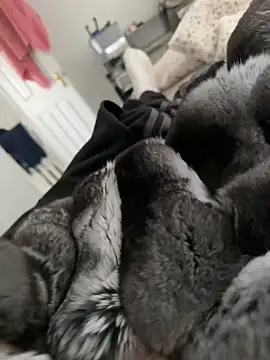 Snapshot of Furdale chatting on February 2026 02:06:01 PM Furdale online show from February 2026 02:06:01 PM