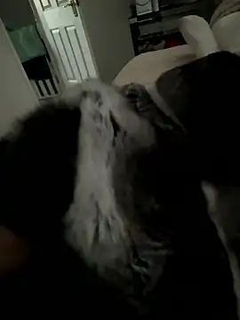 Snapshot of Furdale chatting on January 2026 03:48:02 PM Furdale online show from January 2026 03:48:02 PM