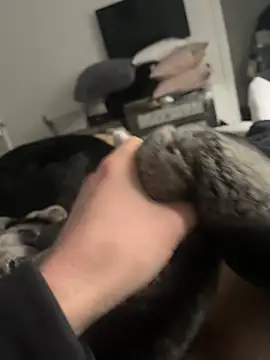 Snapshot of Furdale chatting on February 2025 02:32:02 PM Furdale online show from February 2025 02:32:02 PM