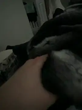 Snapshot of Furdale chatting on February 2026 02:49:02 PM Furdale online show from February 2026 02:49:02 PM