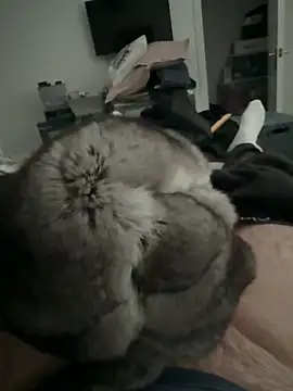 Furdale online show from December 2025 02:52:01 PM