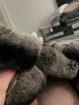 Snapshot of Furdale chatting on February 2025 01:55:01 PM Furdale online show from February 2025 01:55:01 PM