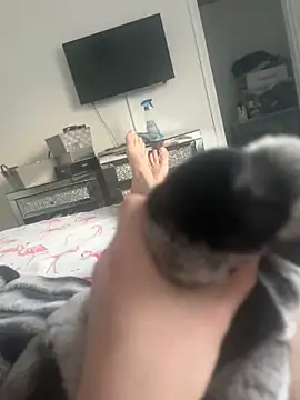 Snapshot of Furdale chatting on January 2025 03:19:01 PM Furdale online show from January 2025 03:19:01 PM