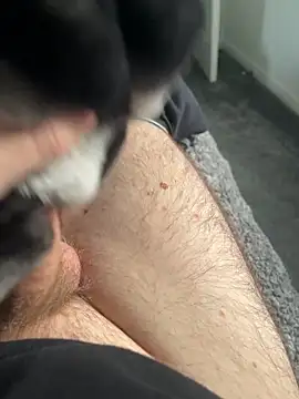 Snapshot of Furdale chatting on January 2025 02:08:02 PM Furdale online show from January 2025 02:08:02 PM