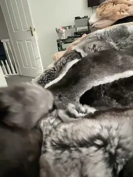 Snapshot of Furdale chatting on February 2026 03:13:02 PM Furdale online show from February 2026 03:13:02 PM