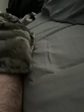 Furdale online show from March 2026 02:39:01 PM