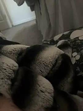 Snapshot of Furdale chatting on January 2025 11:14:01 AM Furdale online show from January 2025 11:14:01 AM